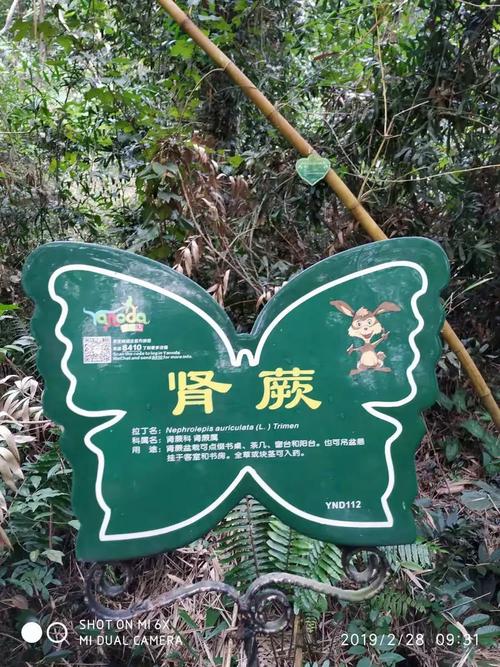 市天涯区海南省吉阳区大小洞天船舱里乘坐的渡船海口市南港码头狐尾树